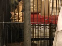 -席娜卡琳火车铁道夜市