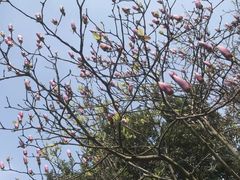 -宁波九龙湖开元度假村