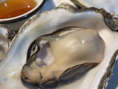 -老家黄墩小错鸡·活海鲜