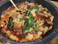 -都江堰石锅鱼