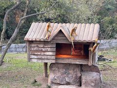 -上海野生动物园