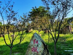 -广州市帽峰山景区