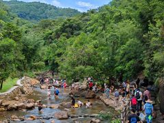 -广州白江湖森林公园