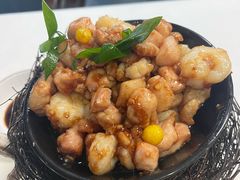 -丁老爷子苏香圆