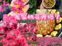 -桃源山庄·水蜜桃采摘·柴火鸡·烧烤团建(龙泉山店)