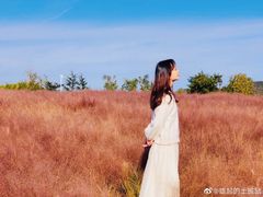 -羊亭河湿地公园