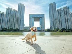 -超宠爱宠物摄影-Super pet