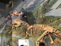 -自贡恐龙博物馆