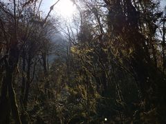 -燕子沟风景区