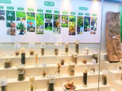 -广东中医药博物馆