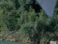 -北仑森林植物园