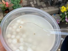 -潘玉麟糖粥