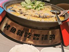 -探炉·香辣豆花烤鱼(笋岗宝能环球汇店)