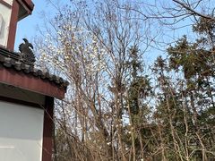 -句容茅山景区