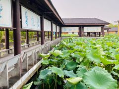 -千龙湖生态旅游度假区