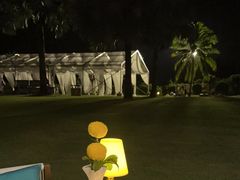 -宴悦海鲜餐厅·游水海鲜·牛排(亚龙湾瑞吉店)