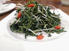 养生枸杞苗-中发源·清真餐厅(春风店)