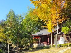 -浮盖山峡谷漂流