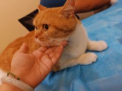 -萌兽医馆·犬猫专科·眼科中心·宠物医院(朝阳门分院)