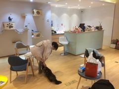 -Pets First伊珊娜洗护·精致美容·家庭式寄养(新会路店)