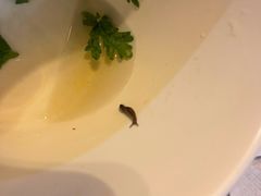 -鲁西肥牛(九方购物中心店)