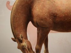 -衢州市博物馆