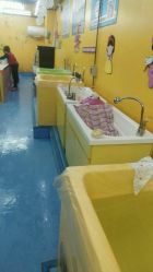 -子木乐园婴儿游泳馆(水晶港店)