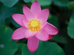 -万源龙顺度假庄园生态观光园