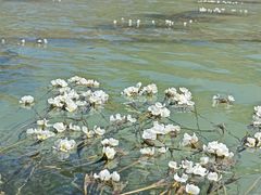 -丽江泸沽湖景区