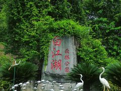 -广州白江湖森林公园