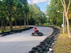 -上海海湾国家森林公园