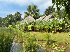 -中国科学院西双版纳热带植物园