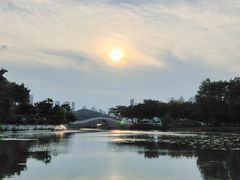 -月湖风景区
