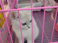 -北京华联购物中心(同成街店)
