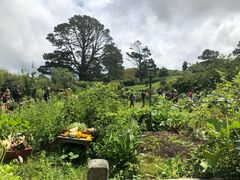 -霍比特人村