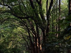 -同里国家湿地公园