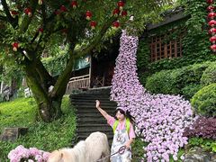 -巴倒烫陆派火锅山庄(南山总店)