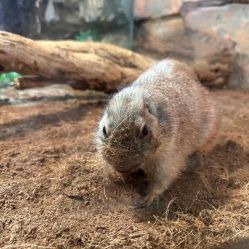 -Zoolung Zoolung动物主题公园(海信广场店)