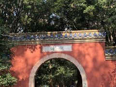 -灵谷景区