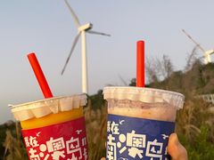 -南澳岛打卡果汁冰公司