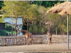 -北京野生动物园