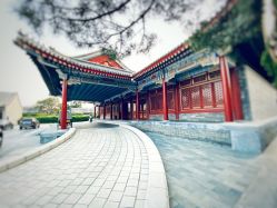 -颐和宾馆宴会厅