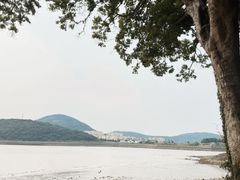-平湖九龙山旅游度假区
