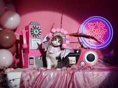 -超宠爱宠物摄影-Super pet