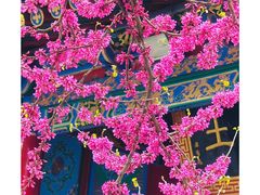 -西安市广仁寺
