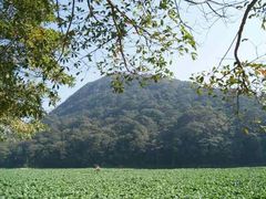 -广州市石门国家森林公园