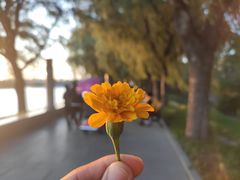 -长春市南湖公园