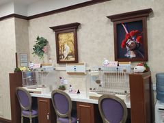 -宠爱国际动物医院· 猫科· 外科·中兽医(长白店)
