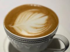 -TAURUS CANAL托瑞斯(衡山路店)