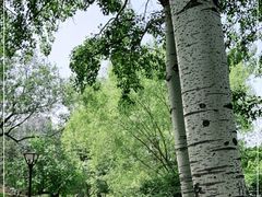 -元大都城垣遗址公园